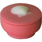 Scallop Shell Trinket Box in Caribbean Coral