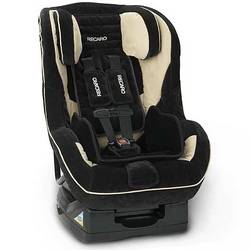 Signo Convertible Car Seat