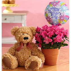 Thinking of You Bear