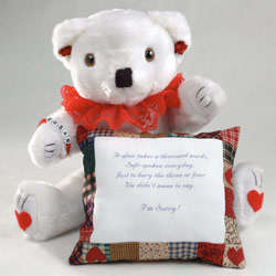 Personalized I'm Sorry Teddy Bear
