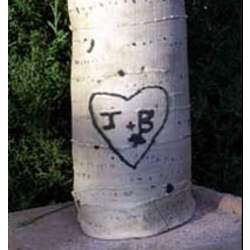 AspenVase