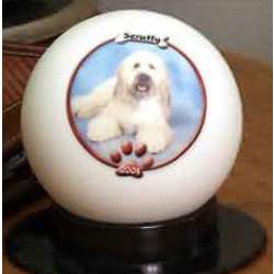 Personalized Pet Ball