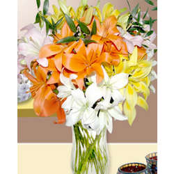 Mixed Lilies