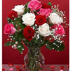 One Dozen Long Stemmed Sweet Expressions Roses