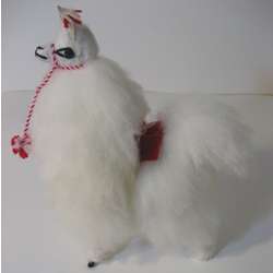 Baby Alpaca Llama